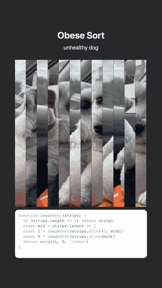 Image Sort